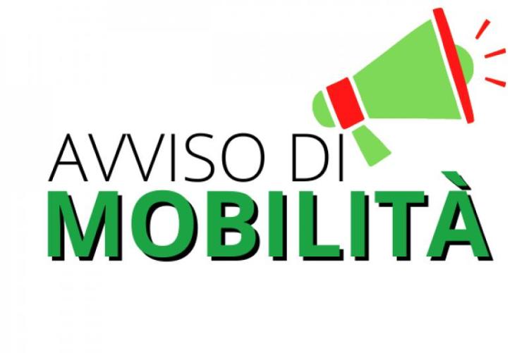 Immagine che raffigura Avviso di mobilità volontaria esterna